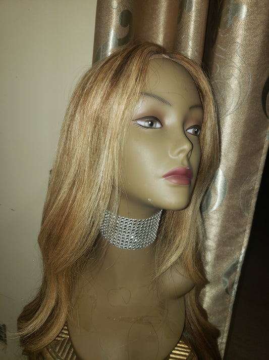 Indian Front Lace Middle Part Wig