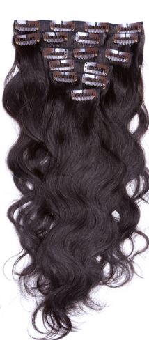 Raw Indian Curly Clip-ins