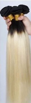 Burmese Black/Platinum Blonde Ombre Straight